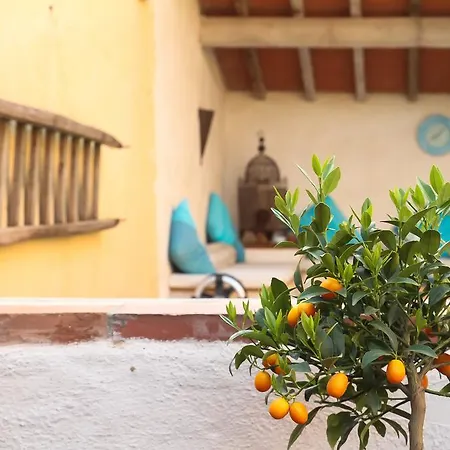 Mas St. Joseph Ille-sur-Têt