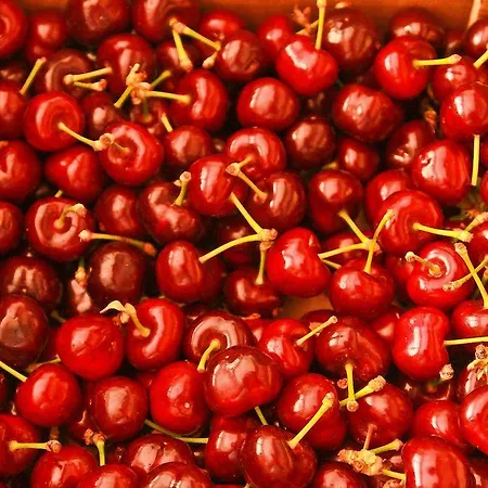 Couette-café Mas St. Joseph 4*