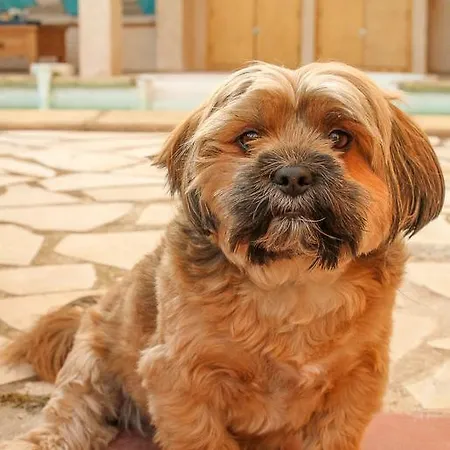 Couette-café Mas St. Joseph 4*